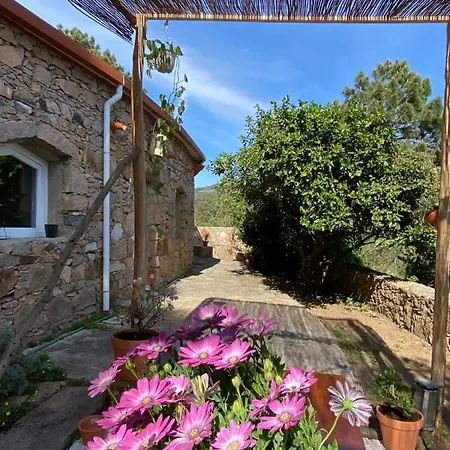 Guincho Da Luz